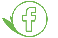 Icône personnalisée Vergers des Alpilles du réseau social Facebook en vert pour faire un call to action vers la page Facebook de la marque