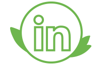 Icône personnalisée Vergers des Alpilles du réseau social LinkedIn en vert pour faire un call to action vers la page LinkedIn de la marque